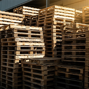 pallets de madeira